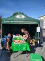 namioty reklamowe, namioty ekspresowe, namioty szybkorozkładalne